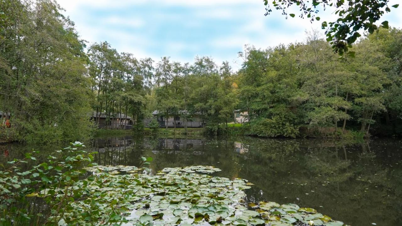 ホテル Warrenwood Country Park ポールゲート エクステリア 写真